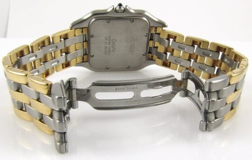 Open Clasp Shot of Panther