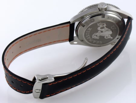 Rear / Band View of Seamaster Planet Ocean