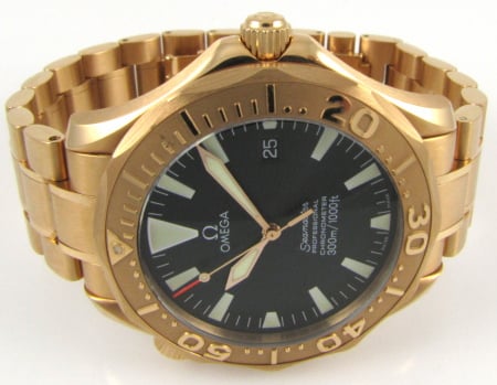 Front View of Seamaster Professional