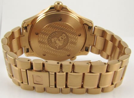 Rear / Band View of Seamaster Professional