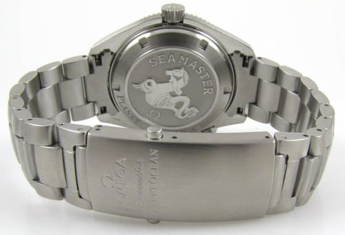 Rear / Band View of Seamaster Planet Ocean