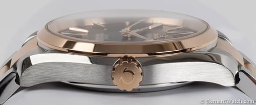Crown Side Shot of Seamaster Aqua Terra