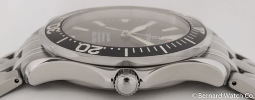 Crown Side Shot of Seamaster Professional