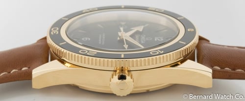 Crown Side Shot of Seamaster 300 Master Co-Axial