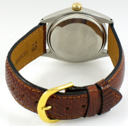 Rear / Band View of Oyster Perpetual
