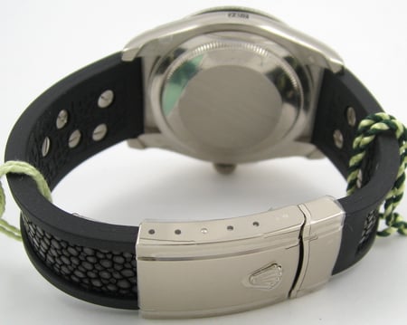Rear / Band View of Datejust Royal Black