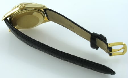 Rear / Band View of 