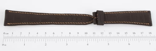 Dial Shot of Chocolate Crocodile Strap