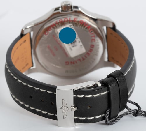Rear / Band View of Colt Quartz
