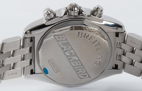 Caseback of Blackbird