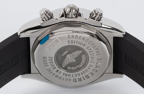 Caseback of Blackbird Black-Eye Blue