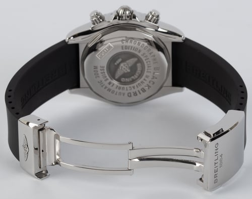 Open Clasp Shot of Blackbird Black-Eye Blue