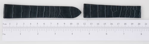 Dial Shot of Alligator Strap