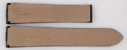Rear / Band View of Alligator Strap