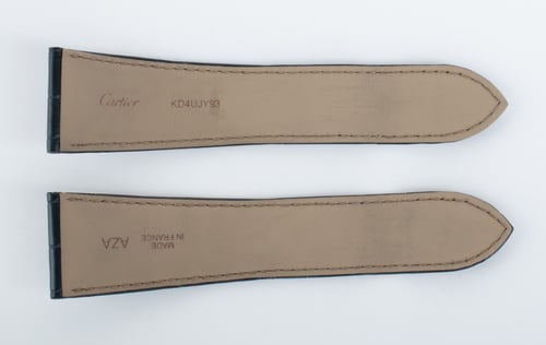 Another Photo of  of Alligator Strap