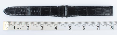 Yet another Photo of  of Alligator Strap