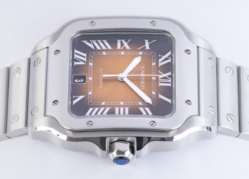 Crown Side Shot of Santos De Cartier Large