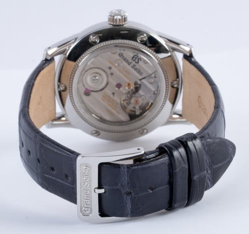 Rear / Band View of Elegance 37MM