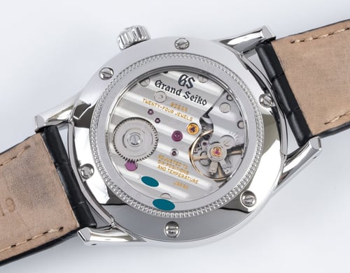 Caseback of Elegance