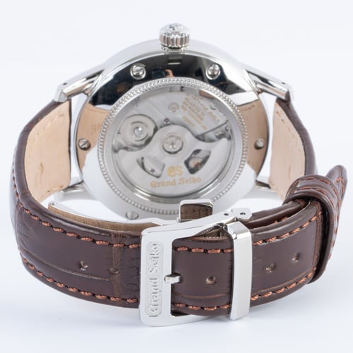 Rear / Band View of GMT Elegance