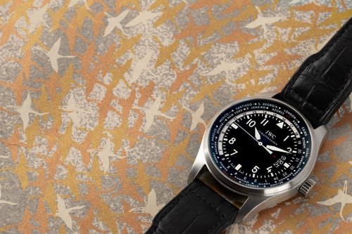 Extra Shot of Pilot's World Timer