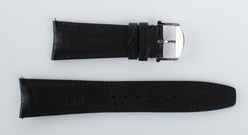 Another Photo of  of Alligator Strap