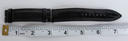 Dial Shot of Alligator Strap