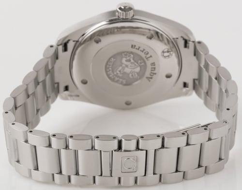 Rear / Band View of Seamaster Aqua Terra