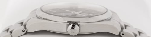Crown Side Shot of Seamaster Aqua Terra