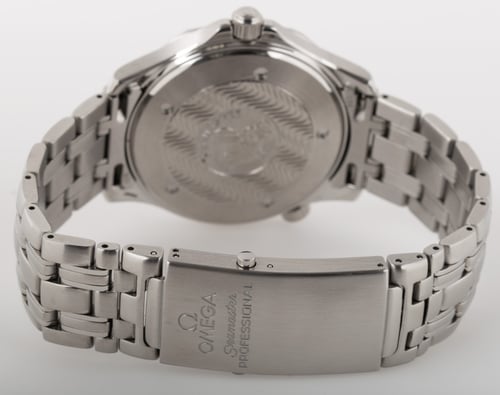 Rear / Band View of Seamaster Professional