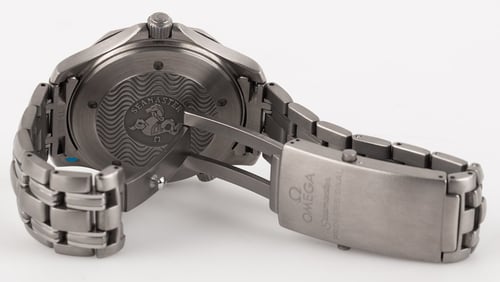 Open Clasp Shot of Seamaster Professional