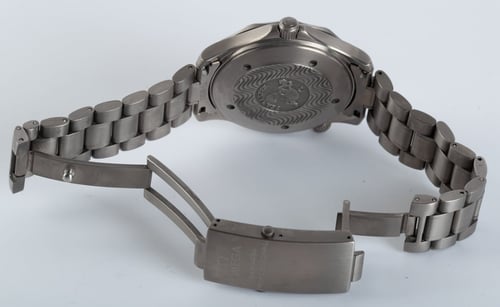 Open Clasp Shot of Seamaster Professional