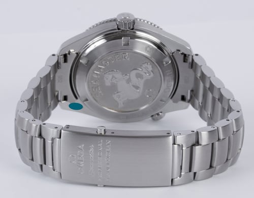 Rear / Band View of Seamaster Planet Ocean
