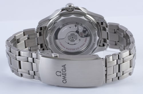 Rear / Band View of Seamaster Diver 300M