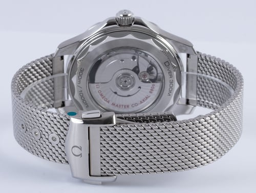 Rear / Band View of Seamaster Diver 300M