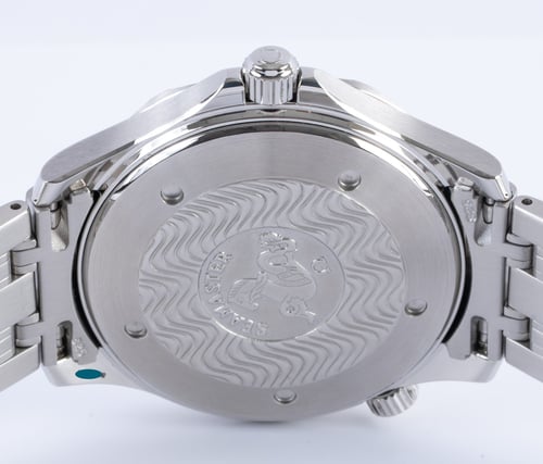 Caseback of Seamaster Professional
