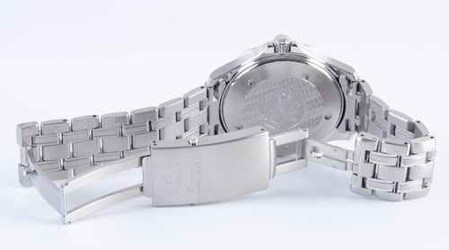 Open Clasp Shot of Seamaster Professional
