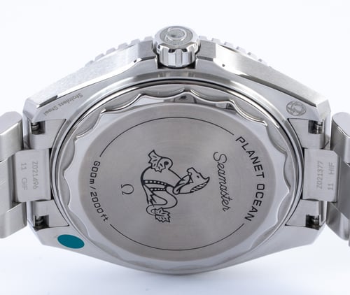 Caseback of Seamaster Planet Ocean 42m