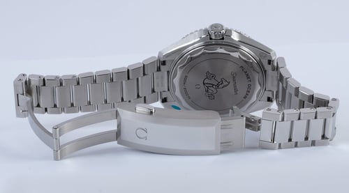 Open Clasp Shot of Seamaster Planet Ocean 42m