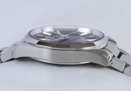 9' Side Shot of Seamaster Aqua Terra Master 41.5 MM