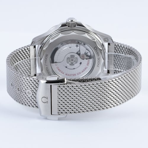 Rear / Band View of Seamaster Diver 300M
