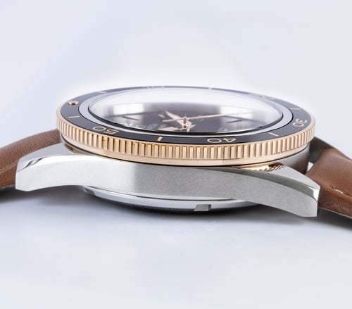 9' Side Shot of Seamaster 300 Master Co-Axial