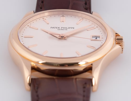 Front Shot  of Calatrava 37MM