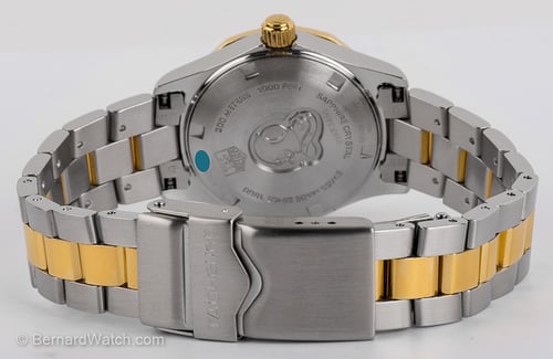 Rear / Band View of Ladies Aquaracer