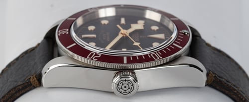 Crown Side Shot of Heritage Black Bay