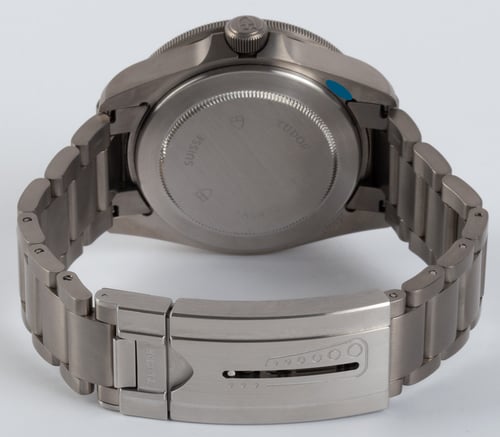 Rear / Band View of Pelagos