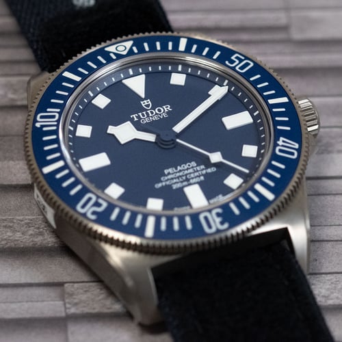 Extra Shot of Pelagos FXD Marine Nationale M.N. 21