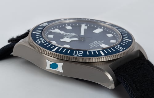 9' Side Shot of Pelagos FXD Marine Nationale M.N. 21