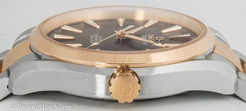 Crown Side Shot of Seamaster Aqua Terra