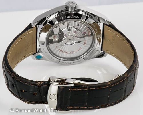 Rear / Band View of Seamaster Aqua Terra 38.5 MM